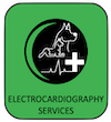 Electrocardiography services available at this vet